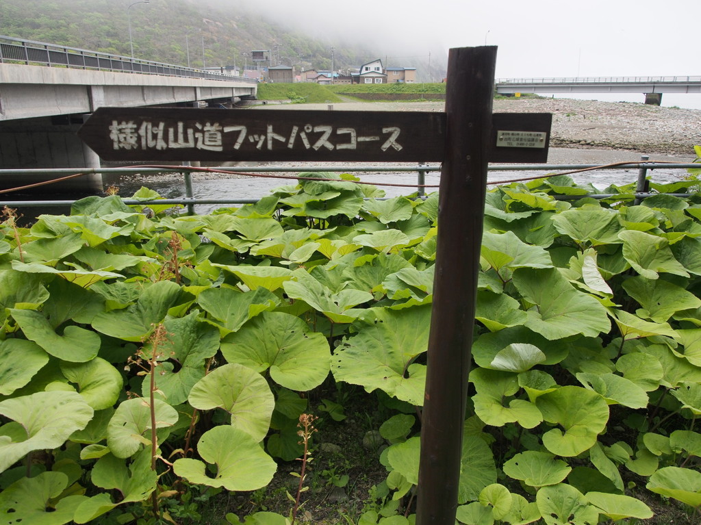 20130606091406
