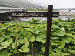 20130606091406