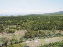 20130606110552