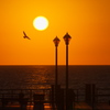 Sunset@Redondo Beach Pier
