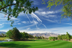Palm Springs