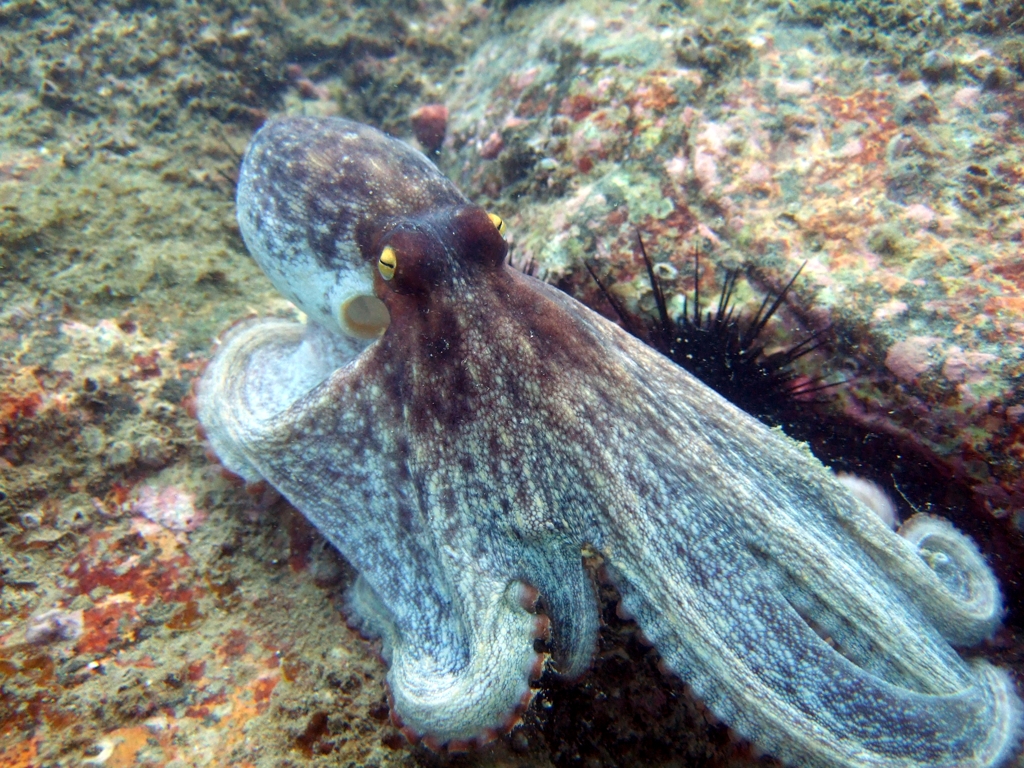 oct2012 013