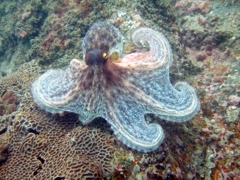 oct2012 021