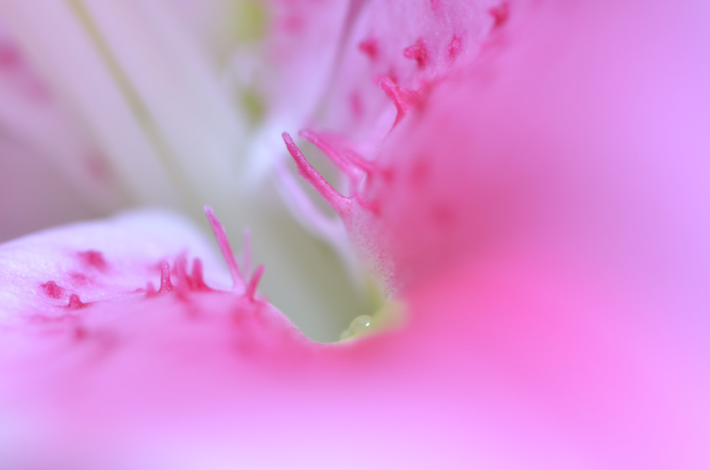 グラデーション