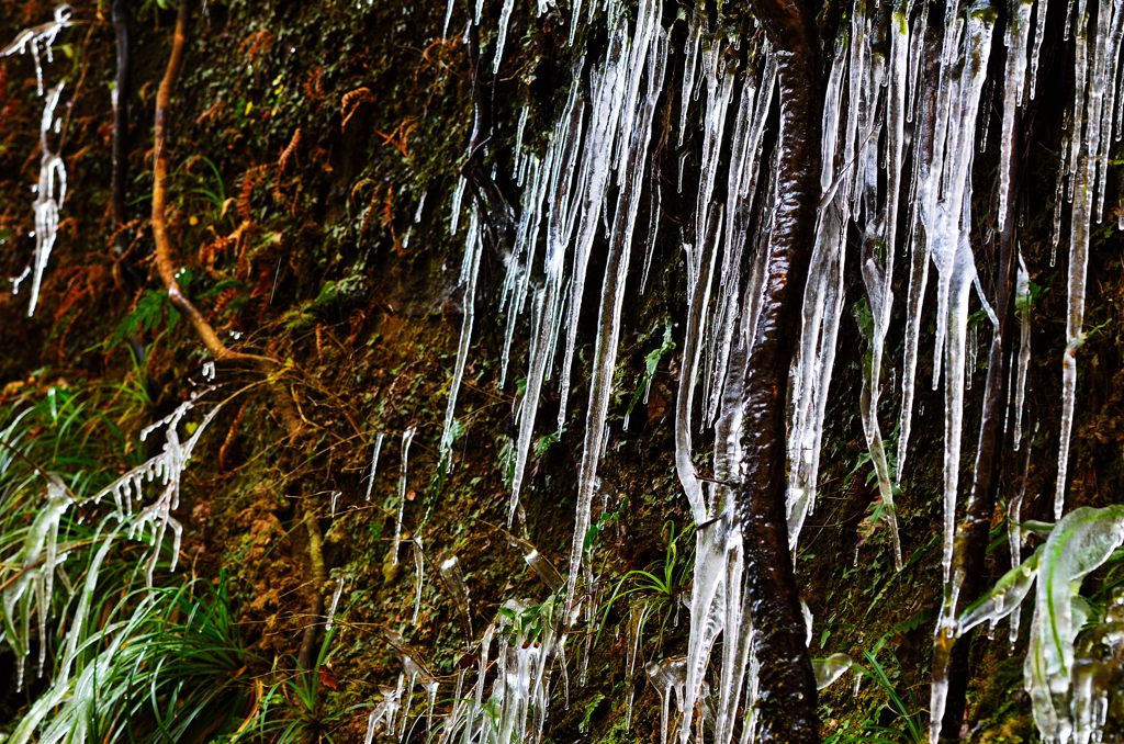 千葉県梅ケ瀬渓谷の氷柱
