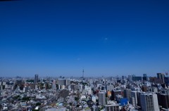 TOKYO BLUE SKY