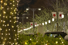 年末の東京・青山表参道