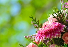 いつもの朝に、花を添えたら