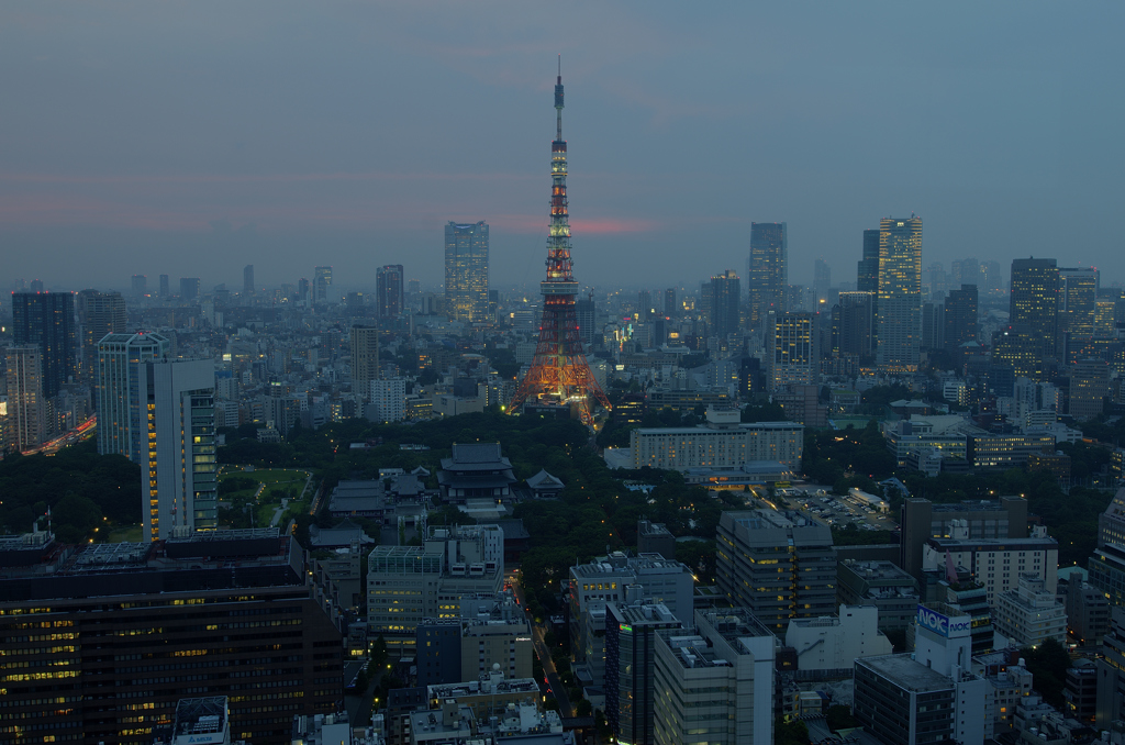 東京夕景