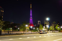 ドリームピンクの東京タワー