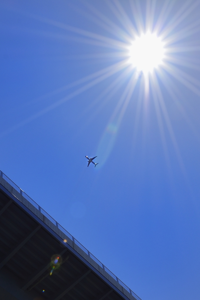 空にあ・こ・が・れ・て、、、♪