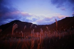 高原の空