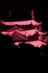 名古屋城のピンクライトアップ
