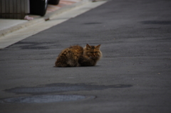 風格あり