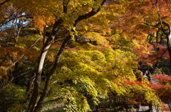 談山神社