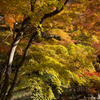 談山神社