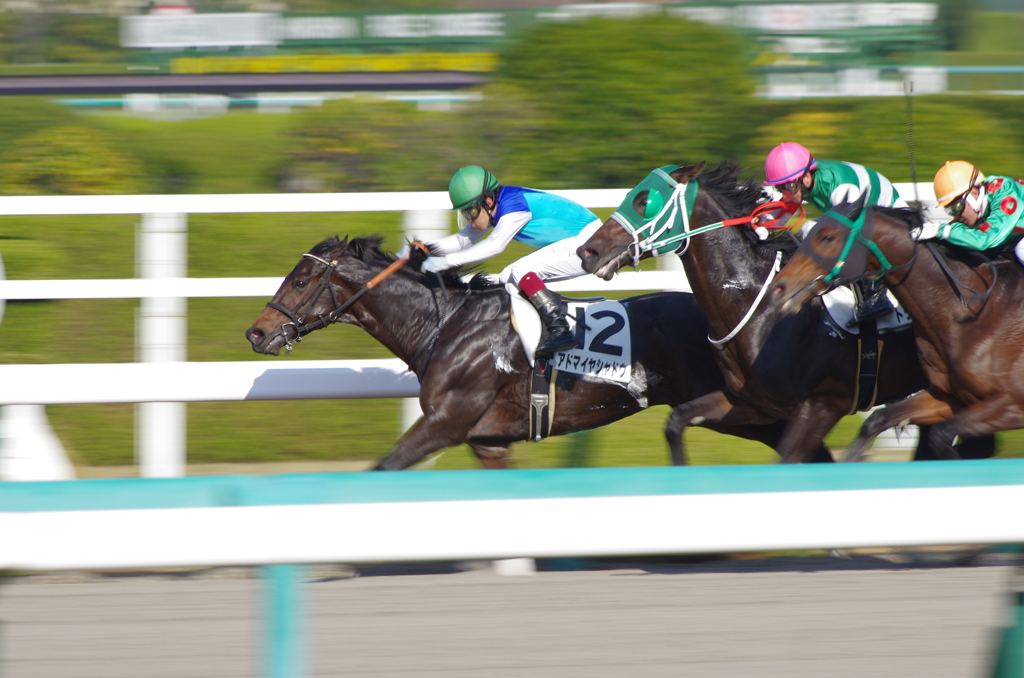 阪神競馬場