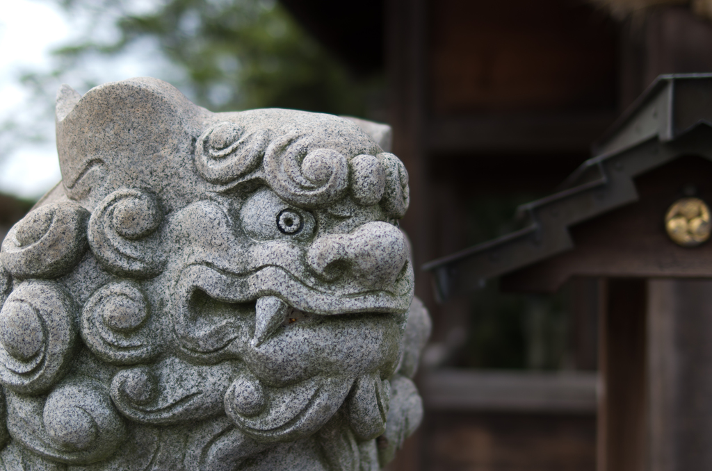 高御位神社の守り犬