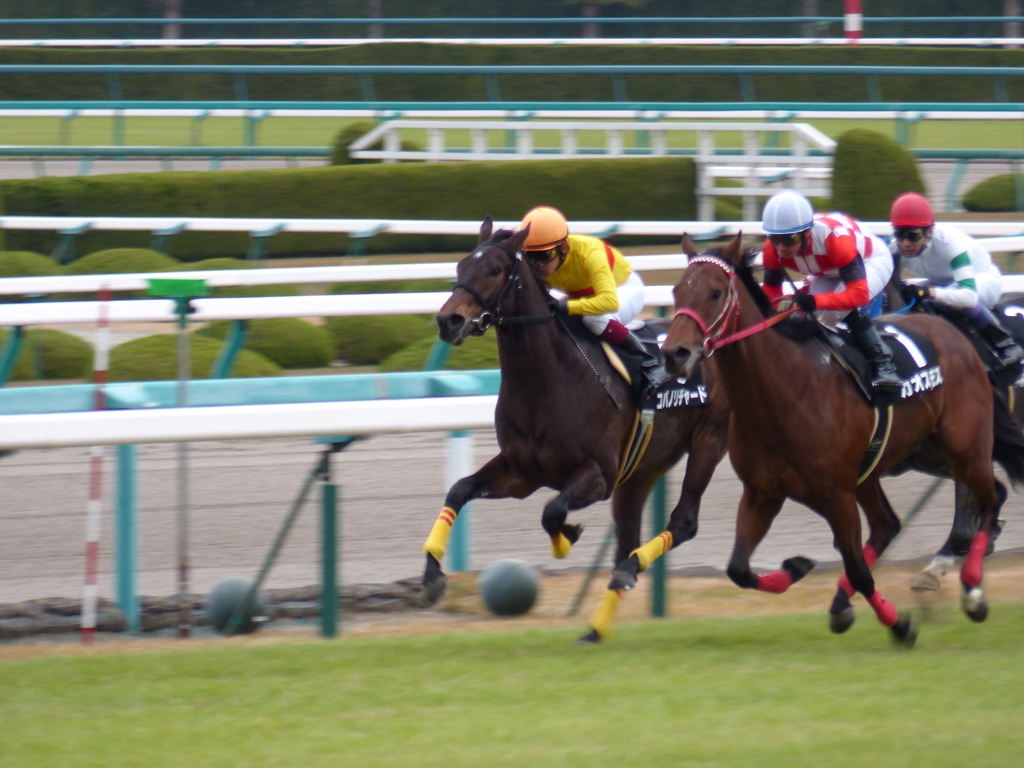 阪神競馬場　2012/12/02 vol1