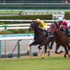 阪神競馬場　2012/12/02 vol1