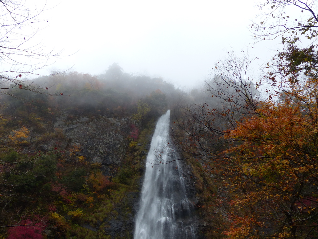 霧中の天滝