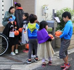 IMG_3153