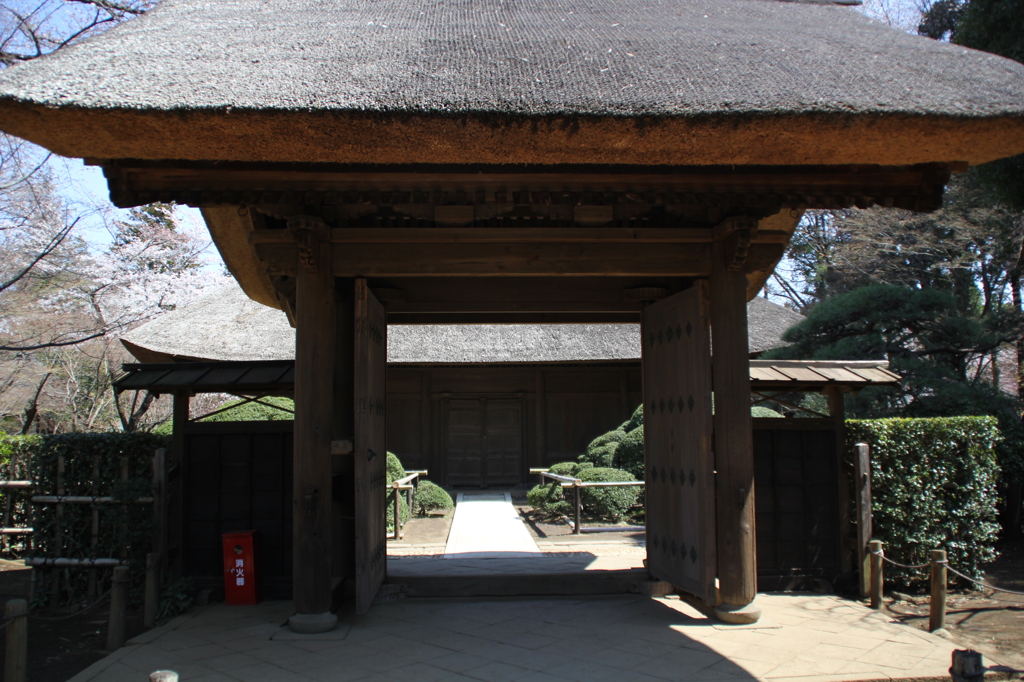 平林寺（３）