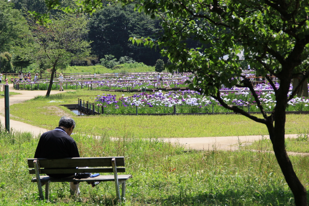 ベンチに座る人 By Seijiro Id 写真共有サイト Photohito