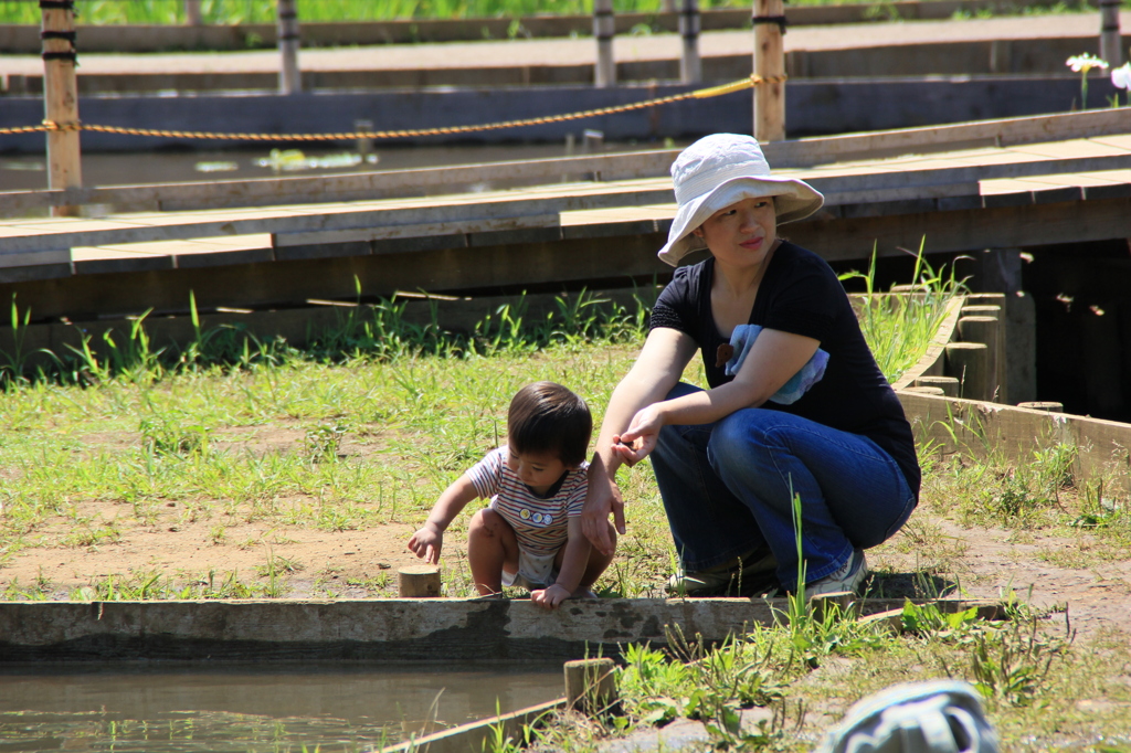 公園の親子