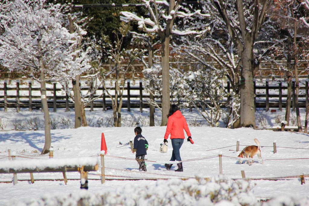 雪の朝の散歩