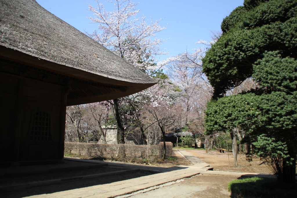 平林寺（２）