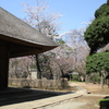 平林寺（２）