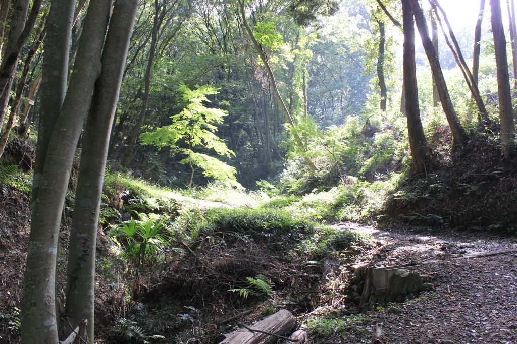 宮沢湖への道