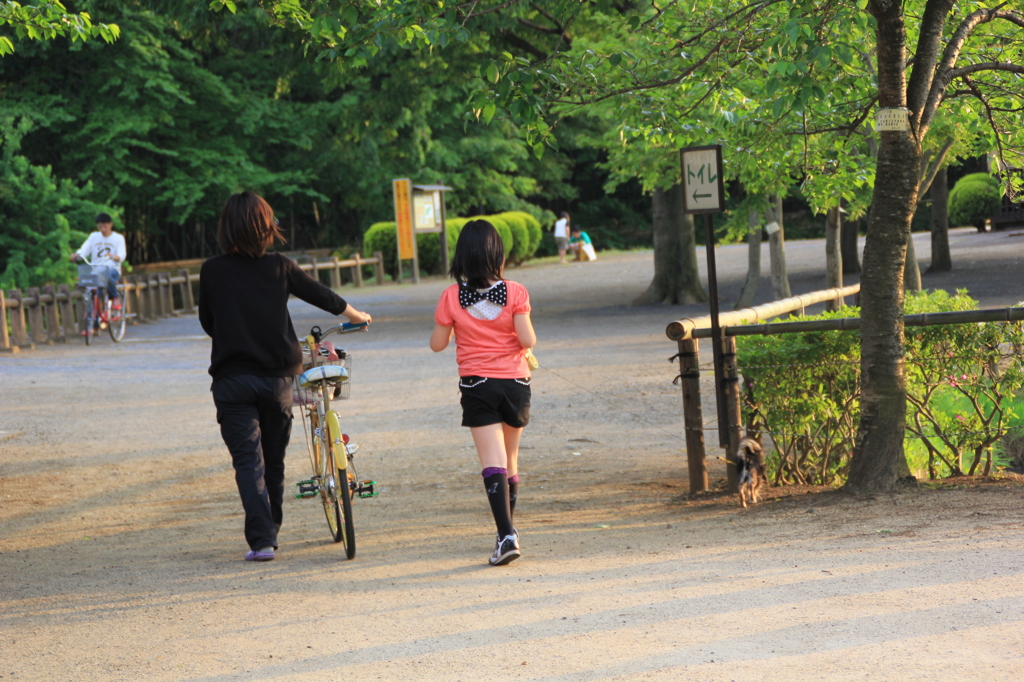 公園を散歩