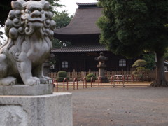 正福寺の狛犬