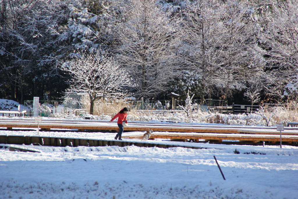 北山公園の雪の朝（１）