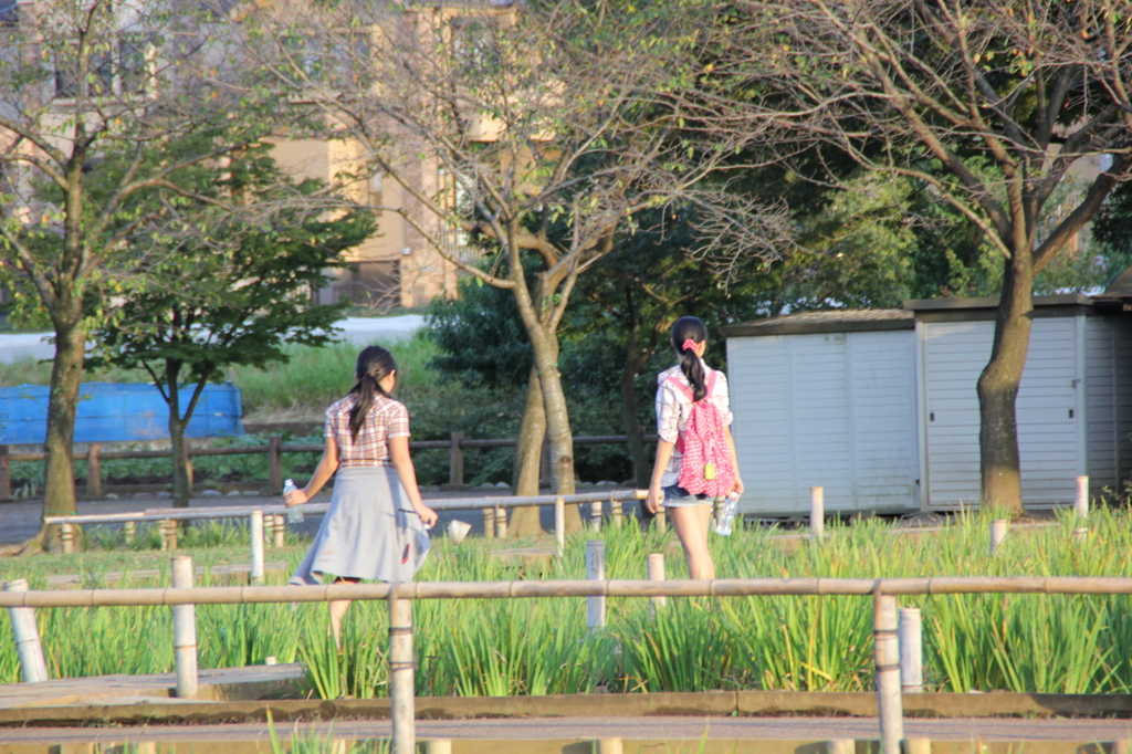 公園の二人