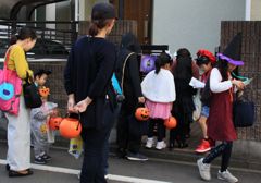 IMG_3146