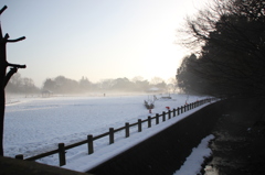 朝の雪煙（１）