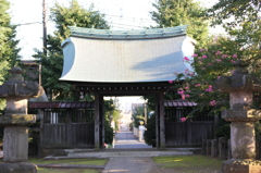 正福寺の山門（境内より望む）