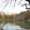 狭山公園の池