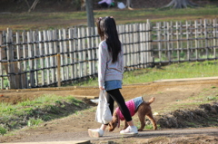 愛犬の散歩
