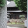 正福寺と大木