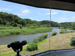 何かいるかな？