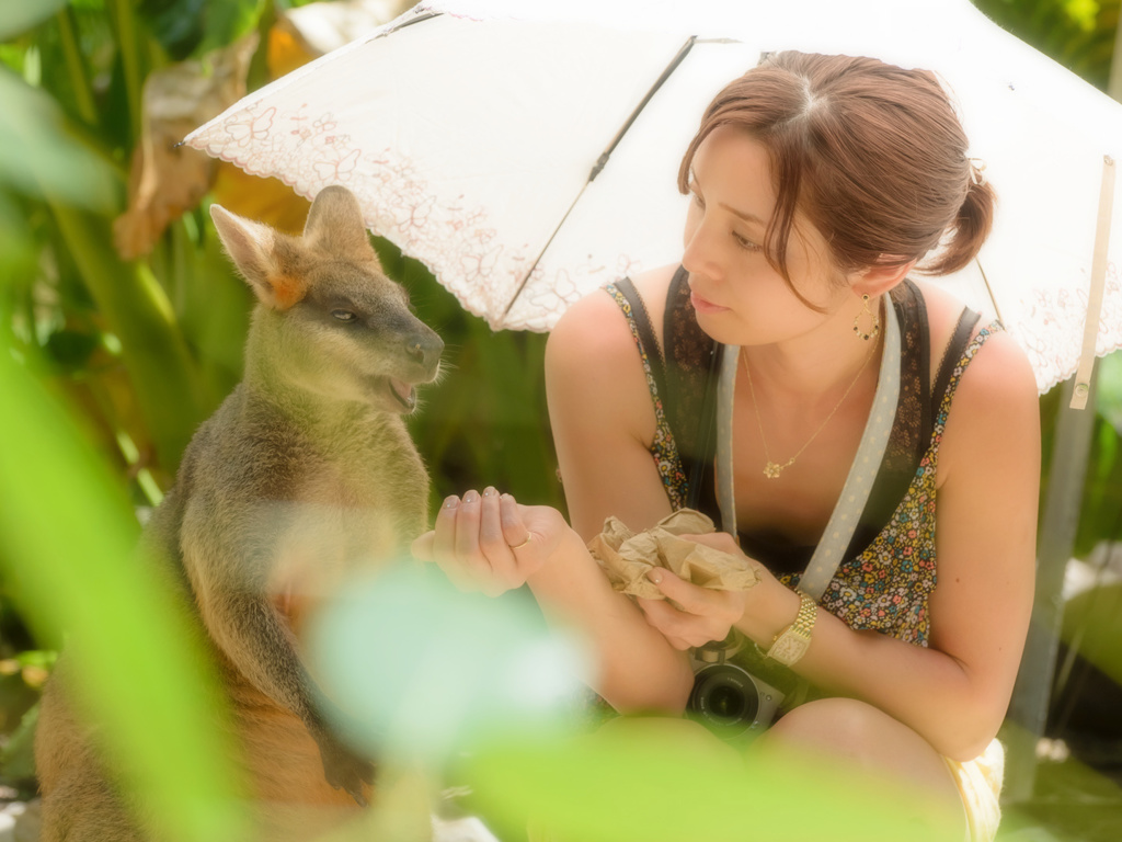cairns tropical zoo