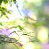 熱帯です。