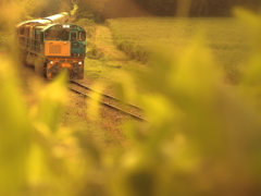 のんびり鉄道