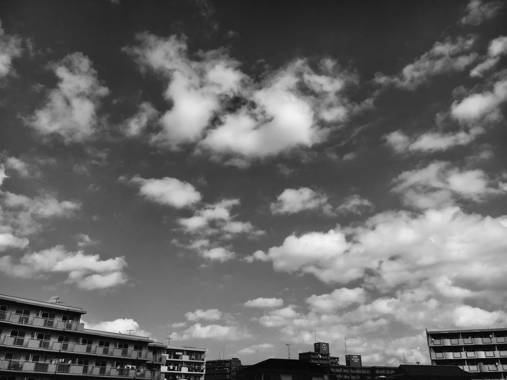 20170213 春間近の青空