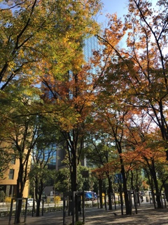 20161118港区紅葉