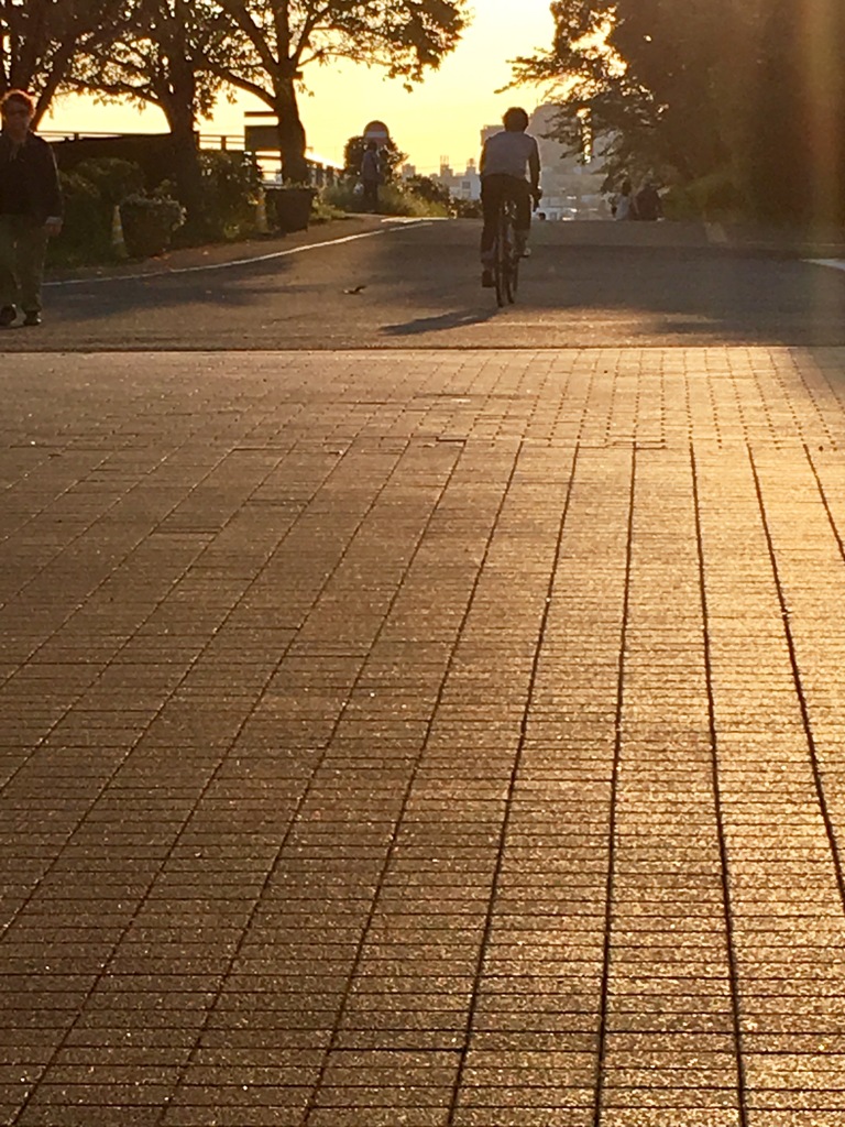 20161016橙